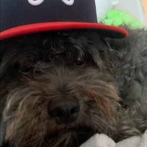 Meet your Posher, Janelle